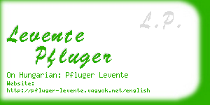 levente pfluger business card